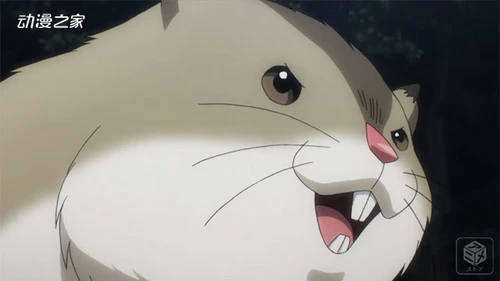 日本d-animestore网友评选理想的兄弟姐妹和宠物角色