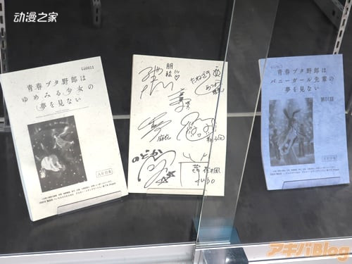 线下活动“青春猪头少年展 in 秋叶原”现场图
