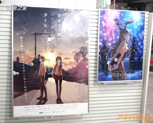 线下活动“青春猪头少年展 in 秋叶原”现场图