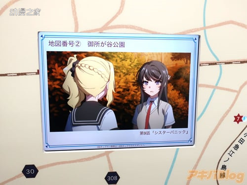 线下活动“青春猪头少年展 in 秋叶原”现场图