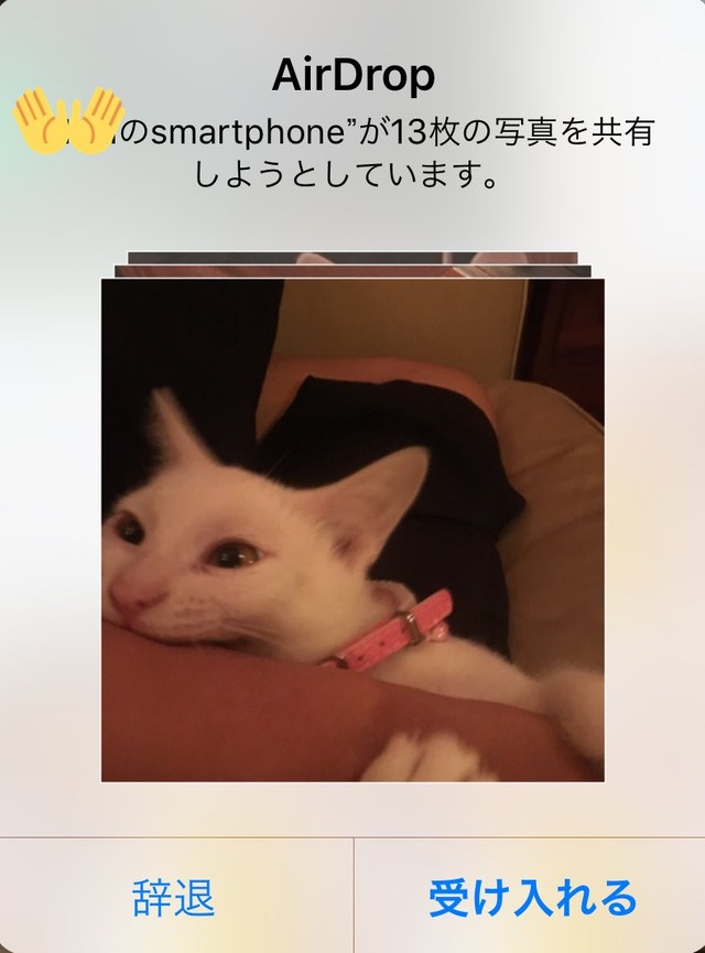 “隔空投送痴汉”案件频发 人类的信任靠喵星人维护！