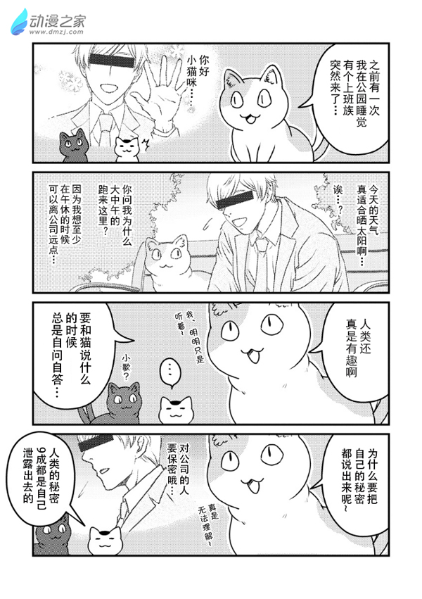 猫咪眼中的人类是…？