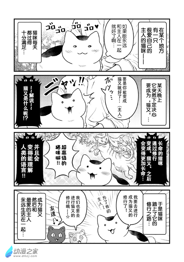 猫咪眼中的人类是…？