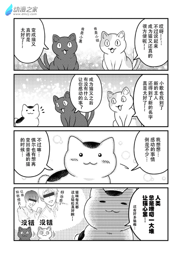 猫咪眼中的人类是…？