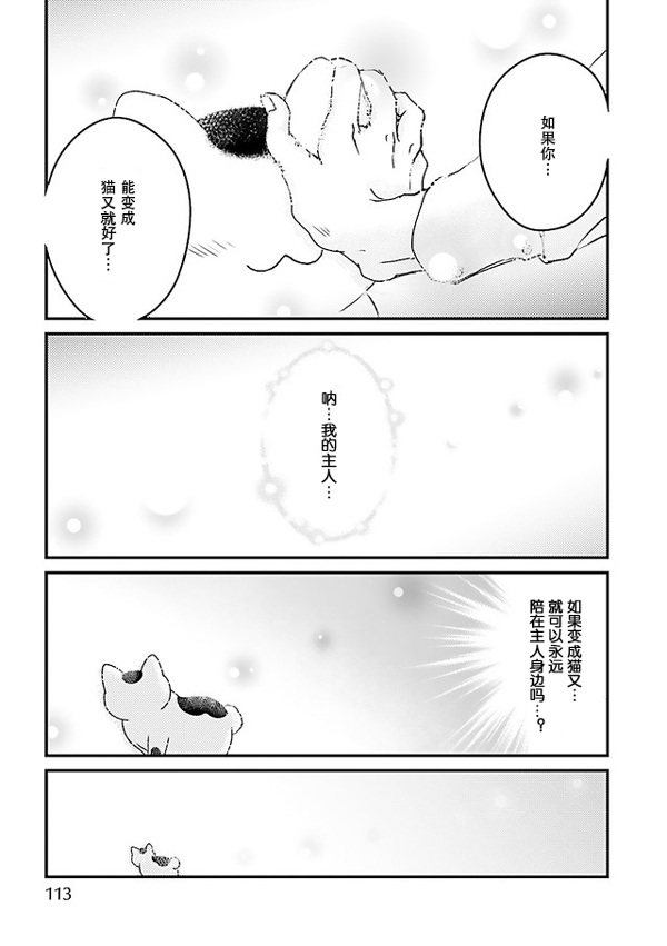 猫咪眼中的人类是…？