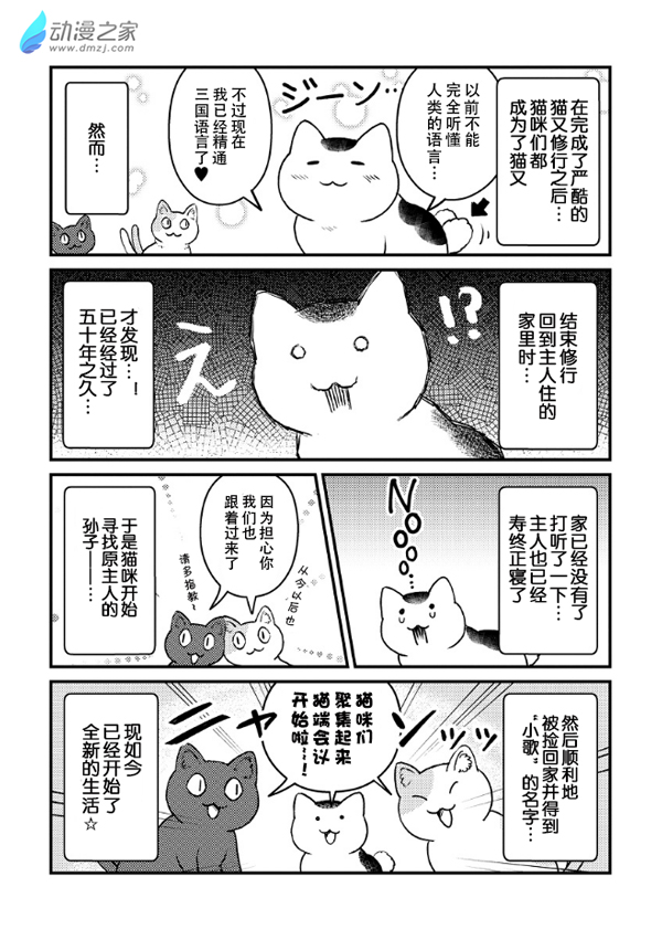 猫咪眼中的人类是…？