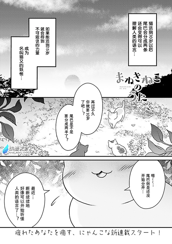 猫咪眼中的人类是…？