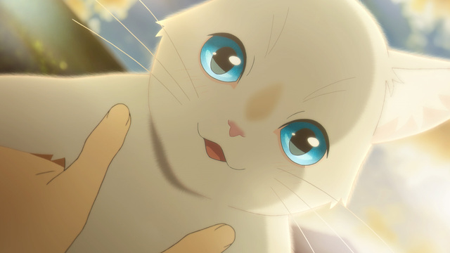 动画电影《想要哭的我戴上了猫面具》6月上映