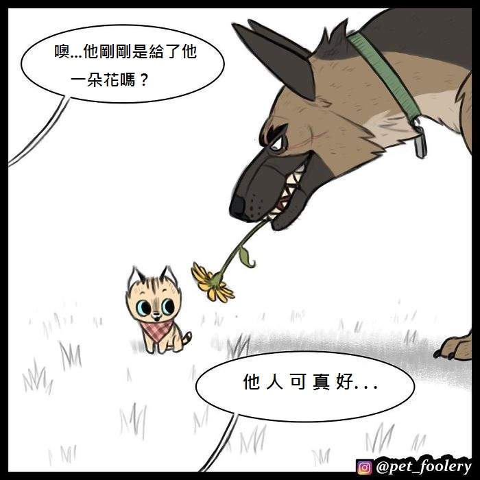 《军犬与家猫》最新漫画 这次揭晓了一点点大狗的过去…