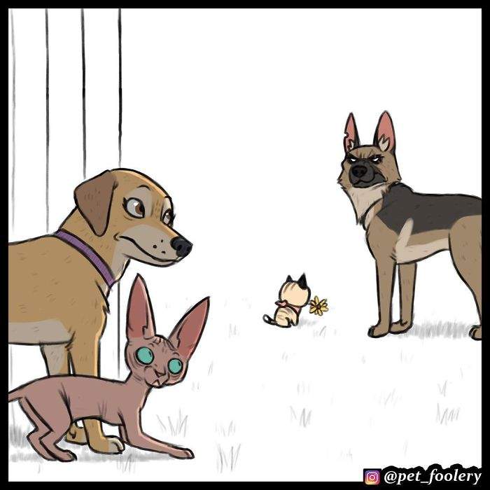 《军犬与家猫》最新漫画 这次揭晓了一点点大狗的过去…