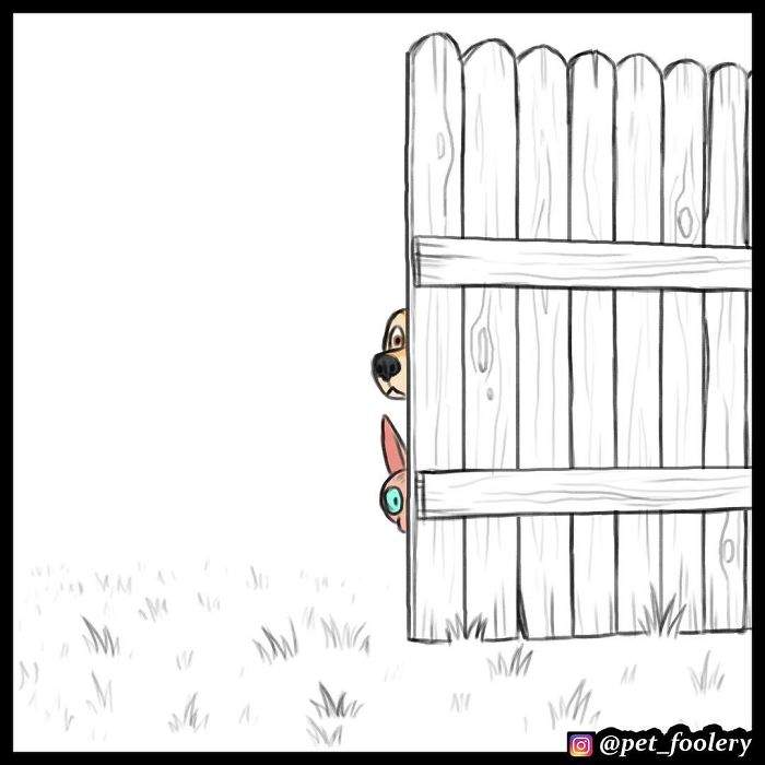 《军犬与家猫》最新漫画 这次揭晓了一点点大狗的过去…