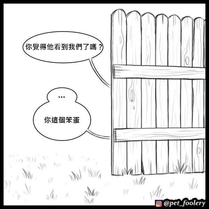 《军犬与家猫》最新漫画 这次揭晓了一点点大狗的过去…