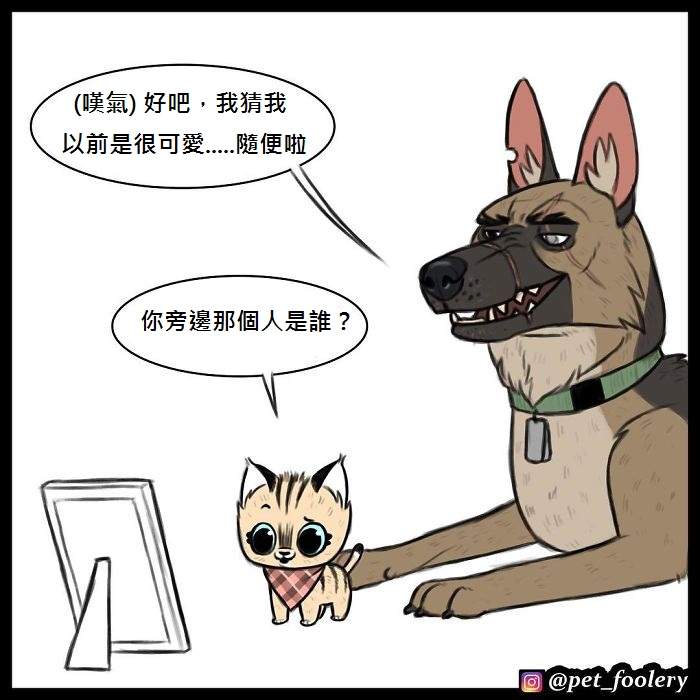 《军犬与家猫》最新漫画 这次揭晓了一点点大狗的过去…