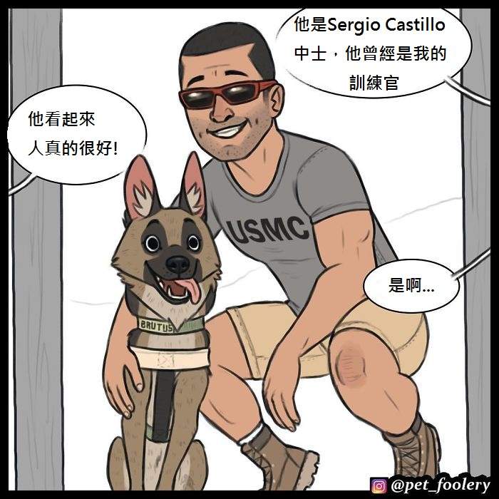 《军犬与家猫》最新漫画 这次揭晓了一点点大狗的过去…