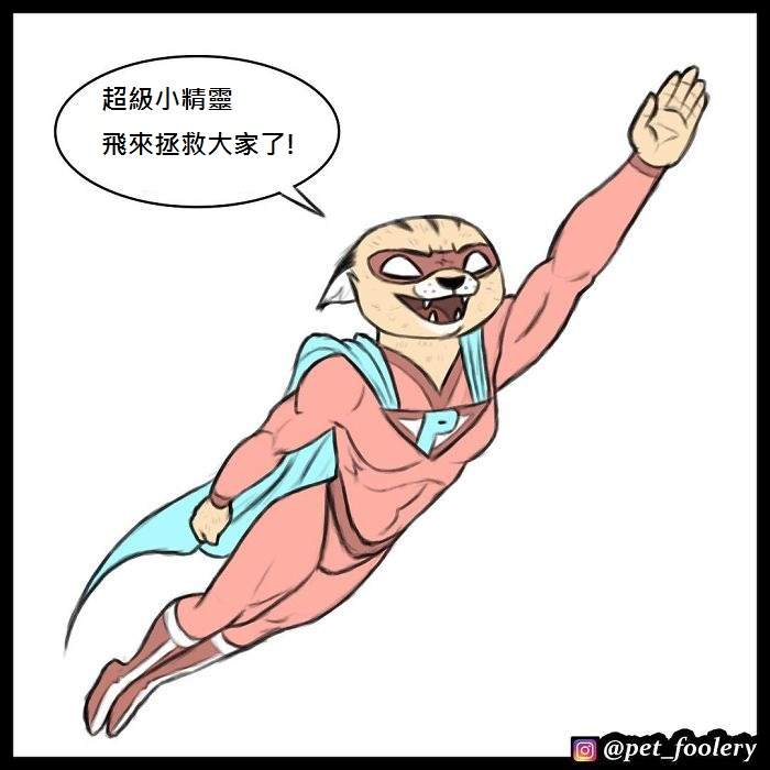 《军犬与家猫》最新漫画 这次揭晓了一点点大狗的过去…