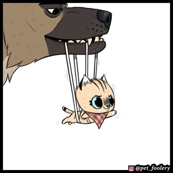 《军犬与家猫》最新漫画 这次揭晓了一点点大狗的过去…
