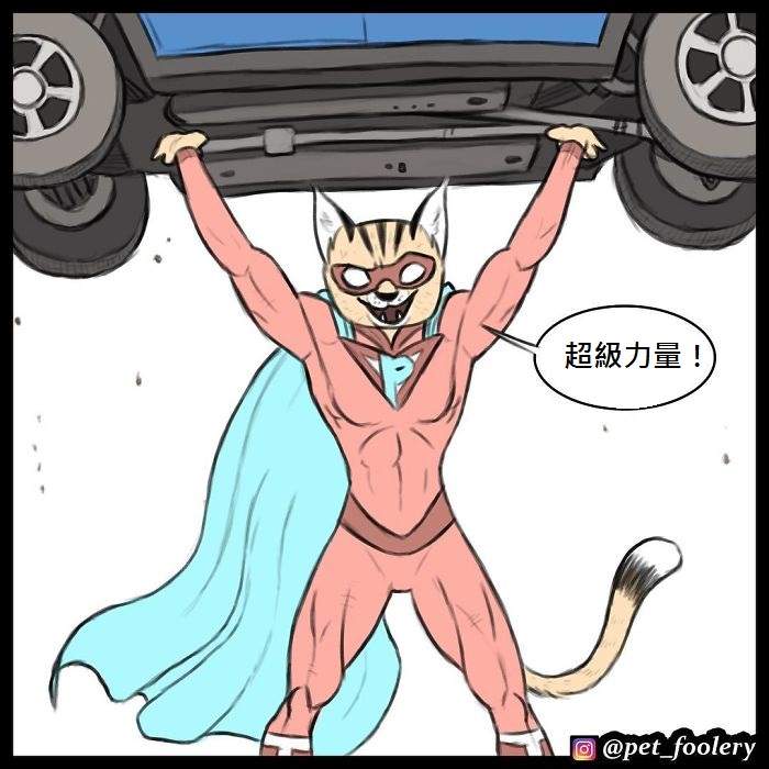《军犬与家猫》最新漫画 这次揭晓了一点点大狗的过去…