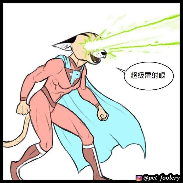 《军犬与家猫》最新漫画 这次揭晓了一点点大狗的过去…