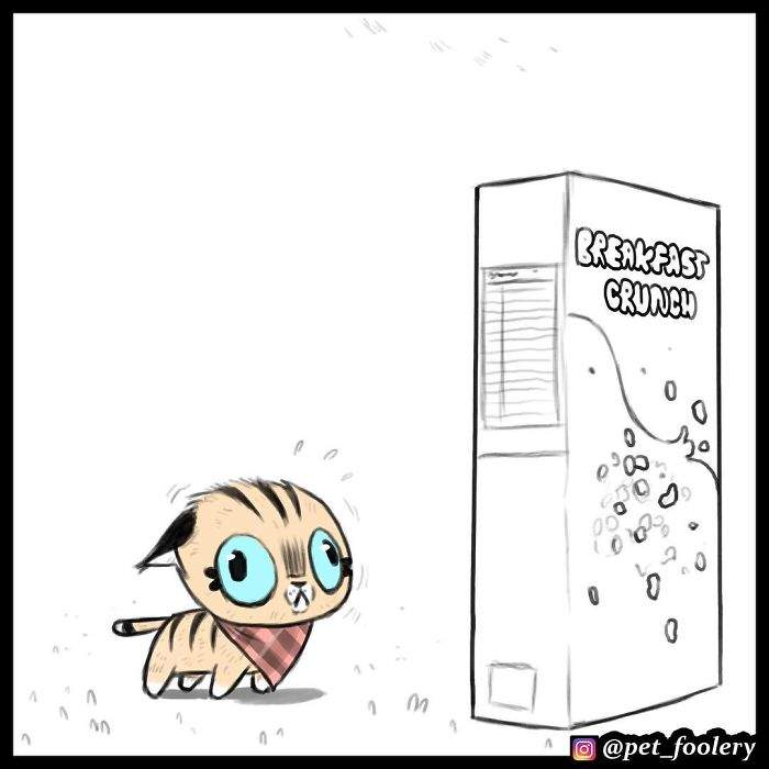 《军犬与家猫》最新漫画 这次揭晓了一点点大狗的过去…