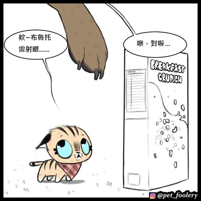 《军犬与家猫》最新漫画 这次揭晓了一点点大狗的过去…