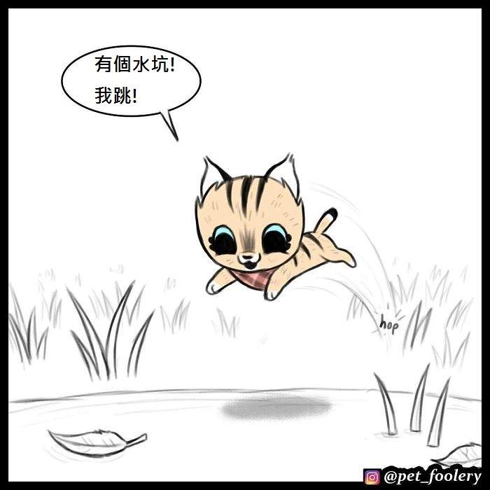 《军犬与家猫》最新漫画 这次揭晓了一点点大狗的过去…