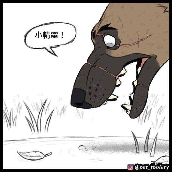 《军犬与家猫》最新漫画 这次揭晓了一点点大狗的过去…