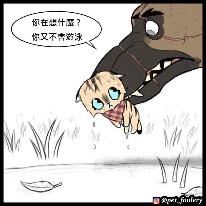 《军犬与家猫》最新漫画 这次揭晓了一点点大狗的过去…