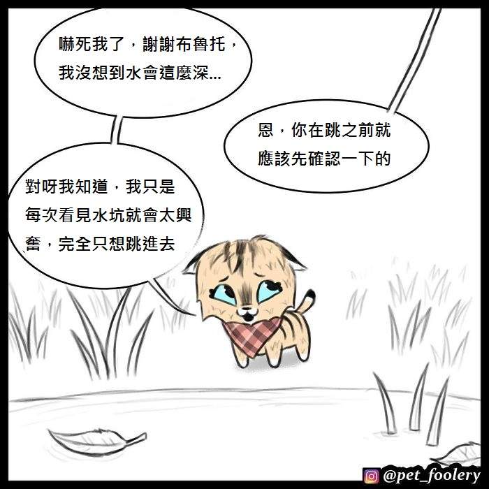 《军犬与家猫》最新漫画 这次揭晓了一点点大狗的过去…