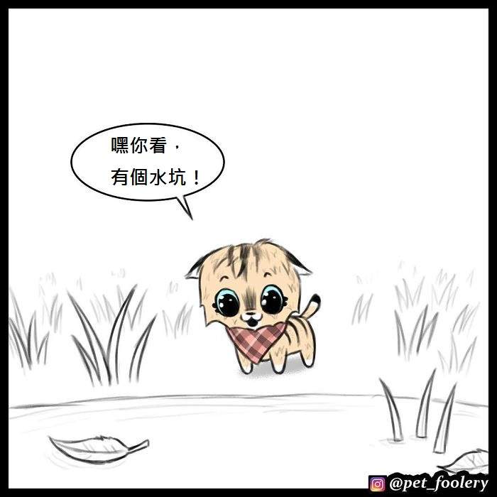 《军犬与家猫》最新漫画 这次揭晓了一点点大狗的过去…