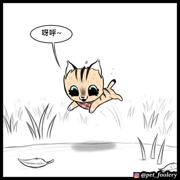 《军犬与家猫》最新漫画 这次揭晓了一点点大狗的过去…