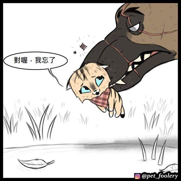 《军犬与家猫》最新漫画 这次揭晓了一点点大狗的过去…