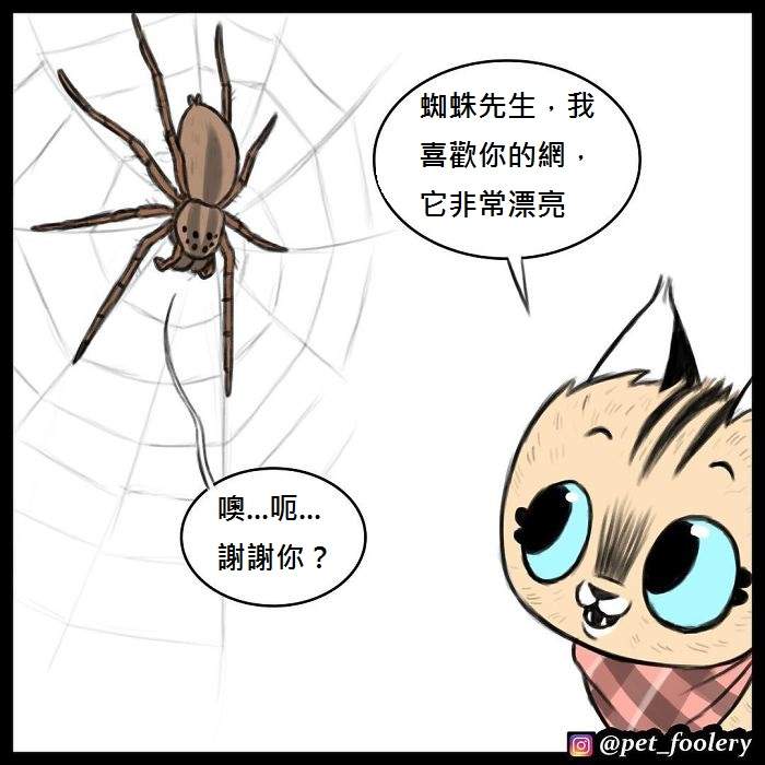 《军犬与家猫》最新漫画 这次揭晓了一点点大狗的过去…