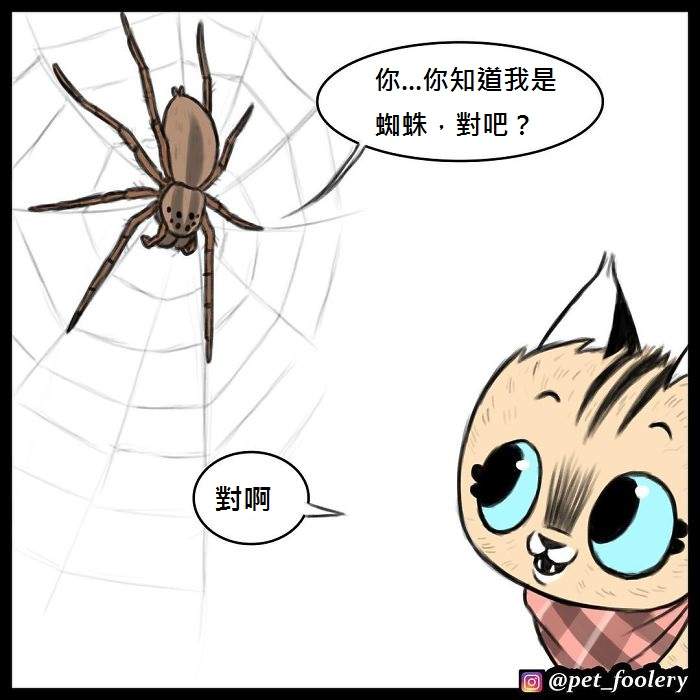 《军犬与家猫》最新漫画 这次揭晓了一点点大狗的过去…