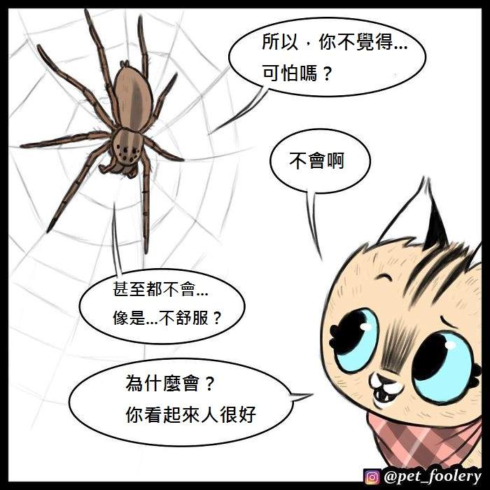 《军犬与家猫》最新漫画 这次揭晓了一点点大狗的过去…
