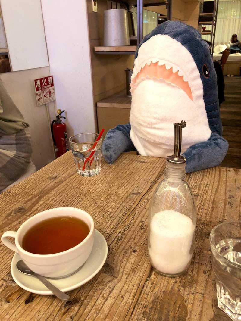 日本网友带上爆红的鲨鱼抱枕进店，结果店员也给上了一杯水
