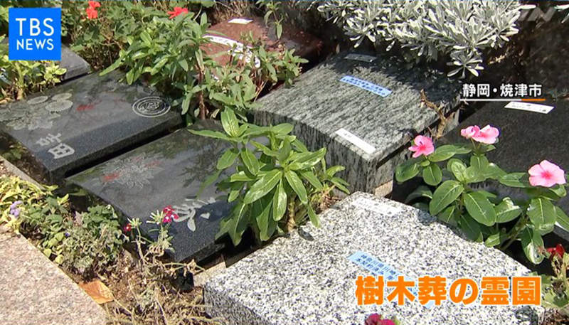 这样也行？日本寺庙专门帮忙「供奉墓碑」